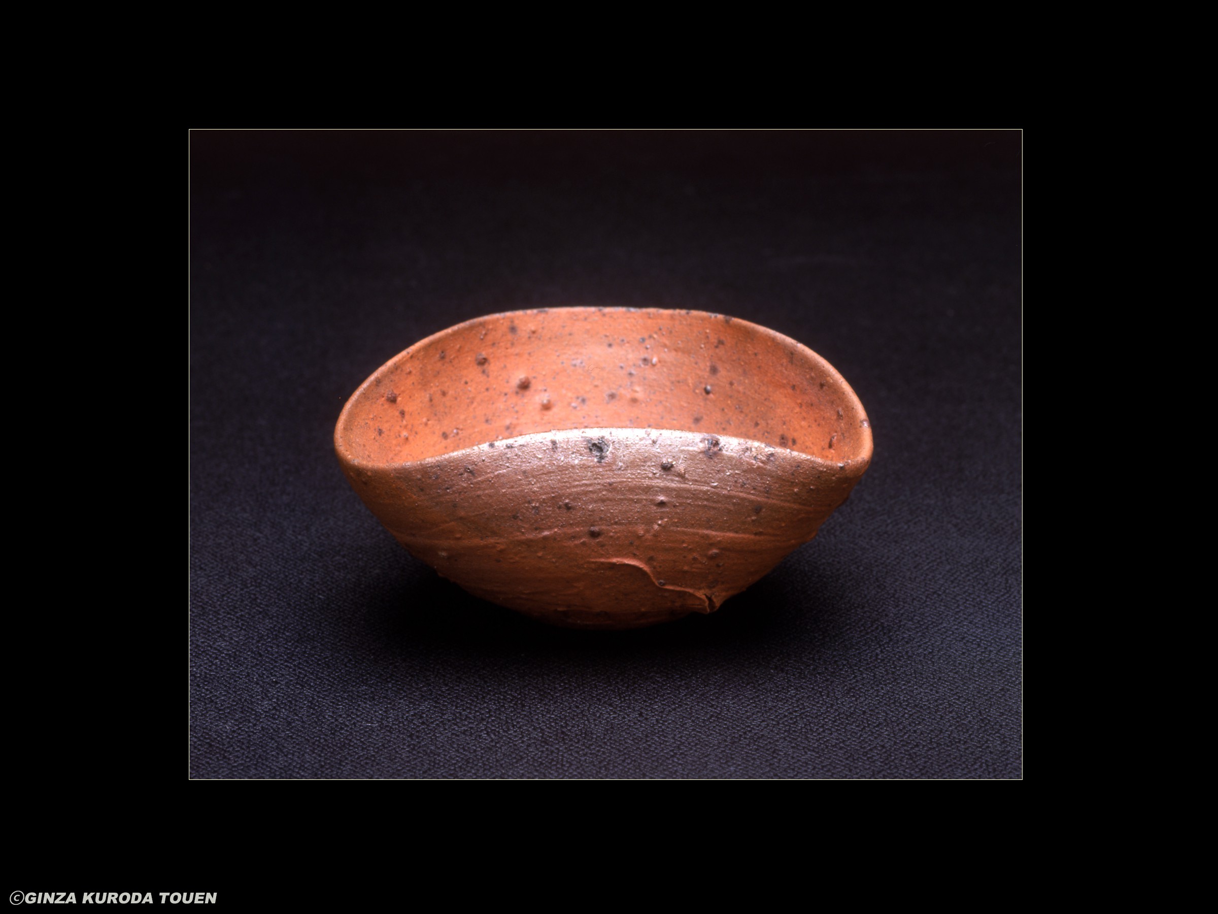Fujio Koyama: Sake cup, Tanegashima type