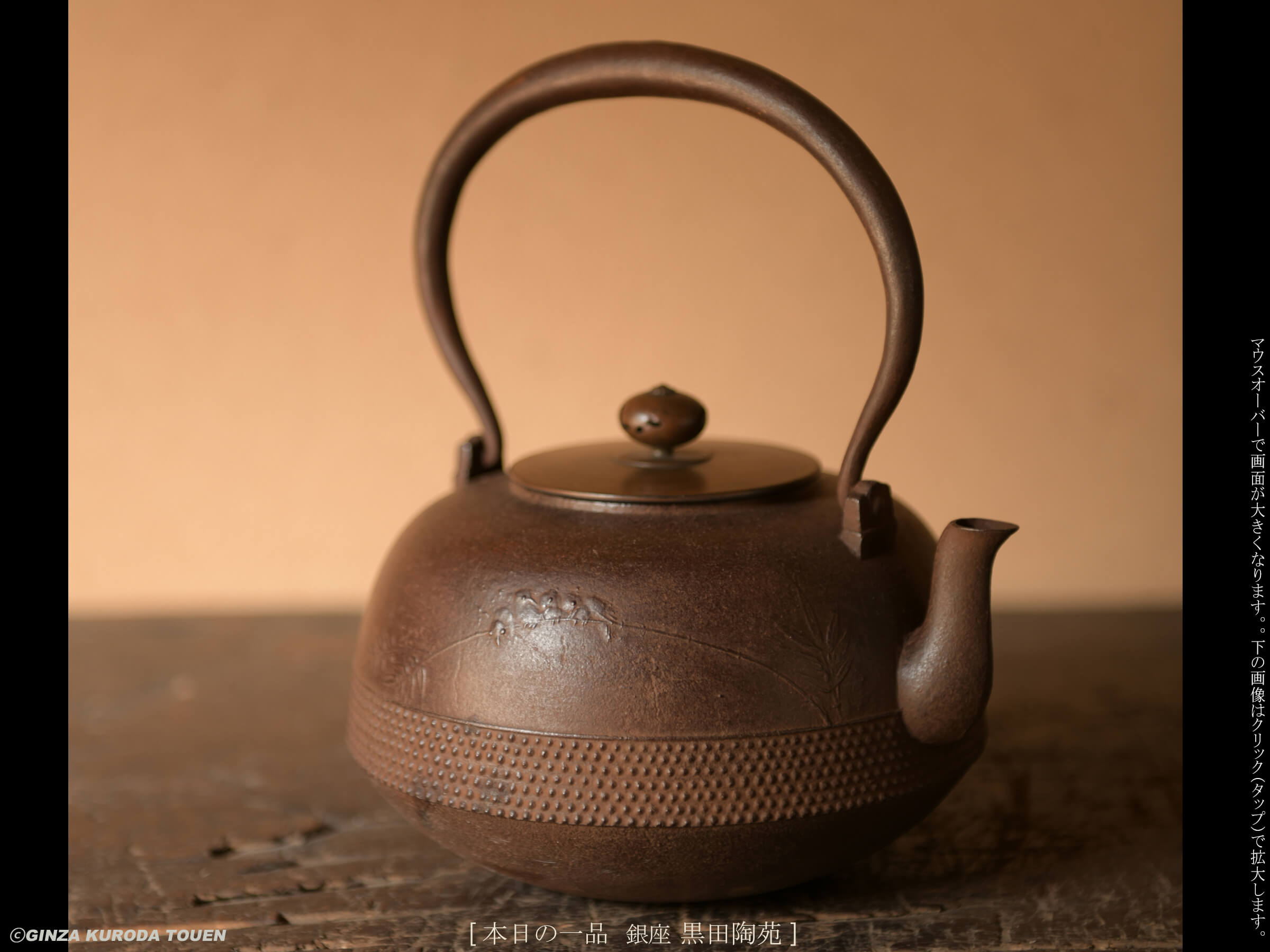 Tesshi Nagano : Iron kettle